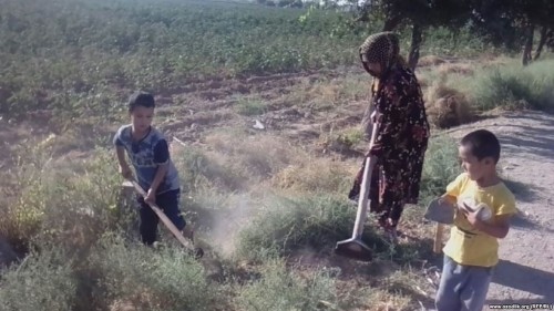 В Сурхандарье многодетные женщины вышли на принудительную уборку улиц, опасаясь лишиться детских пособий