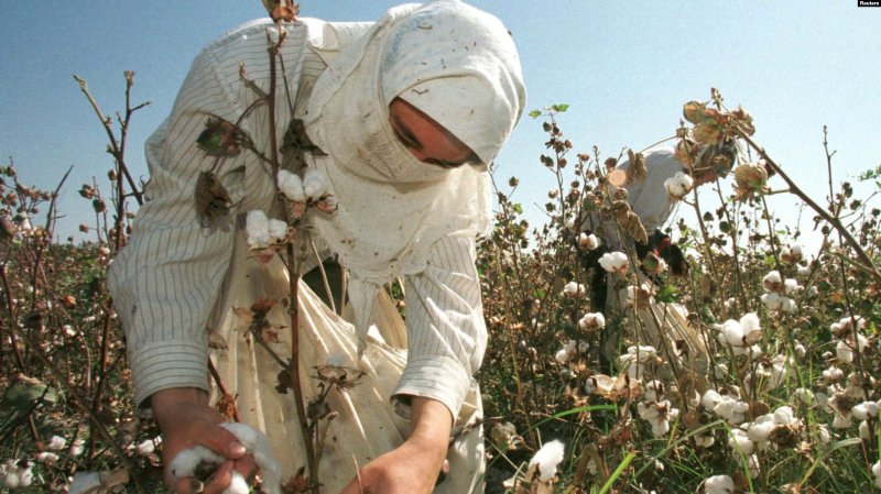 ILO Cites Dramatic Drop in Uzbek Use of Forced Labor