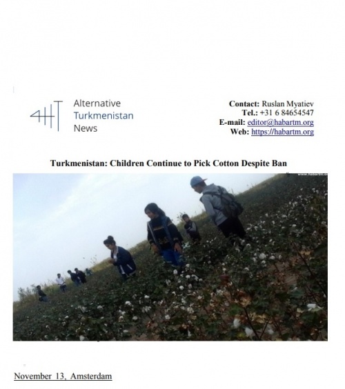 Turkmenistan 2017: Children Continue to Pick Cotton Despite Ban