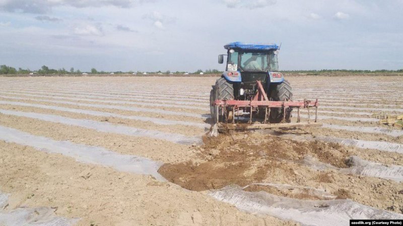 Uzbek Farmers Get 'Cluster' Bombed By Reforms