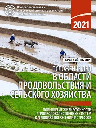 Положение дел в области продовольствия и сельского хозяйства 2021