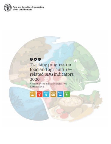 Tracking progress on food and agriculture-related SDG indicators 2020