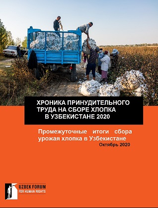 Хроника принудительного труда на сборе хлопка в Узбекистане. Октябрь 2020