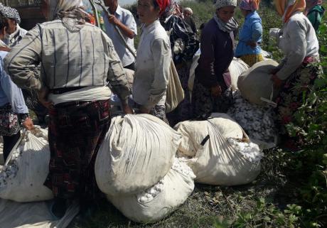 Uzbekistan’s new leader fails his first test