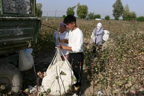 ДОКЛАД УГФ: Принудительный труд при сборе хлопка в Узбекистане в 2018 году