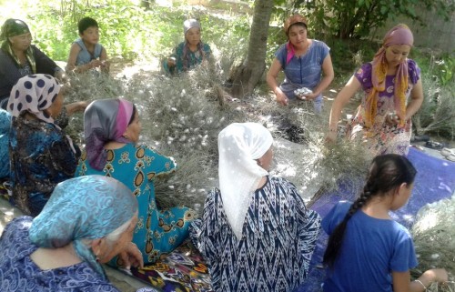 Uzbekistan: The Hard Labor Behind Soft Silk