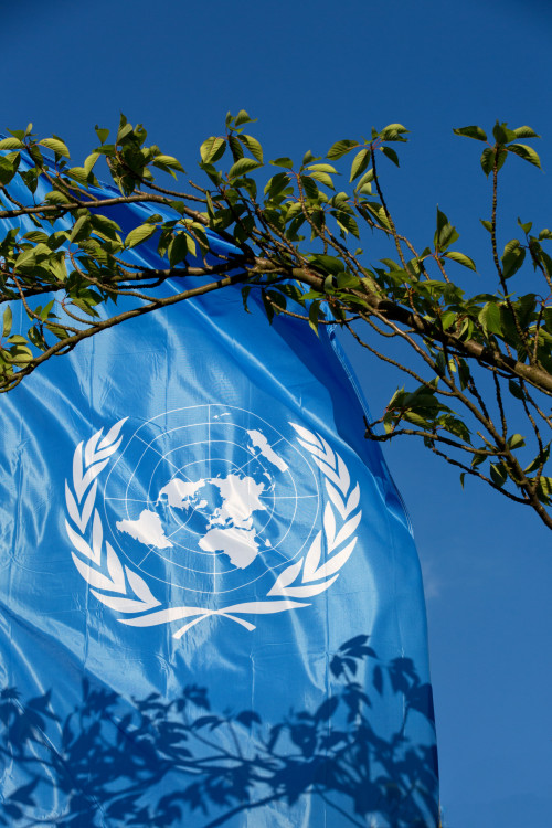 Беларусь: эксперты ООН осуждают изгнание граждан и предупреждают о риске безгражданства