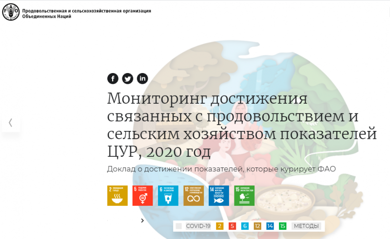 Отчет ФАО «Мониторинг достижения связанных с продовольствием и сельским хозяйством показателей ЦУР»