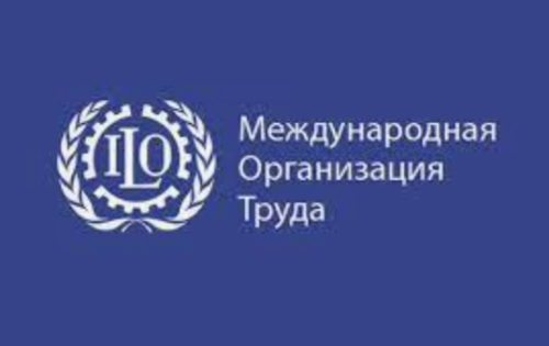 Некоторые положения Конвенции МОТ № 189 “О достойном труде домашних работников”