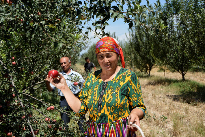 New FAO-led food security and nutrition report for Europe and Central Asia elaborates on the costs of a healthy diet