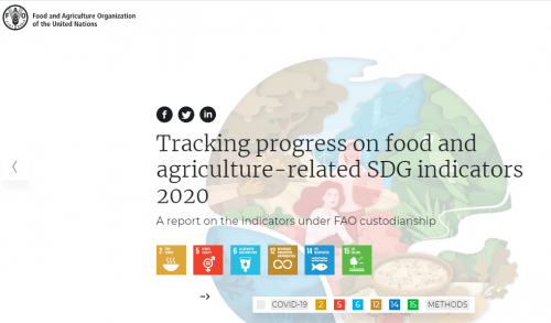 FAO’s report “Tracking progress on food and agriculture-related SDG indicators”