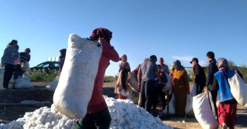 Teachers and Doctors in Turkmenistan Exempt from Cotton Picking – Could This Be Permanent?