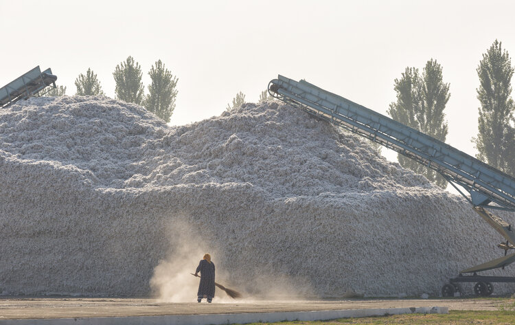 The Situation with Uzbek Cotton: Why the Pledge Remains in Place and a Path Forward