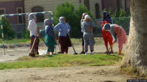 «Учителя бухарских школ: Заявления властей об искоренении принудительного труда оказались очередной ложью» 