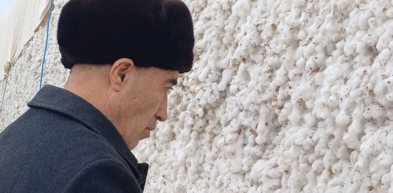 UZBEK COTTON HARVEST 2023: RISK OF FORCED LABOR REMAINS HIGH