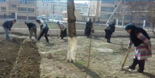 Uzbek teachers, nurses 'forced' to clean streets and harvest wheat