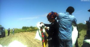 Forced labor remains the norm in Turkmenistan’s cotton fields