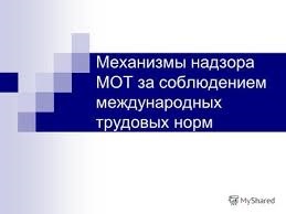 Свобода объединения, основные трудовые права и практика их применения