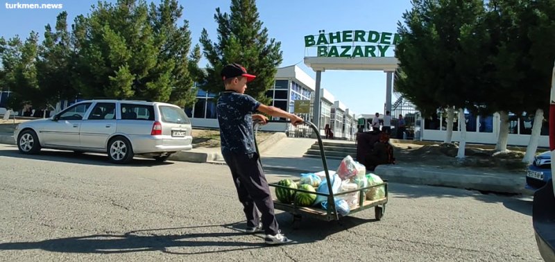 Туркменистан: Тяжелое детство в счастливой стране. Фильм turkmen.news о детском труде