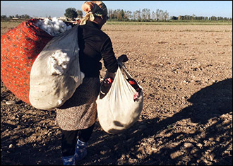 Cotton Campaign presents recommendations to end forced labor to government officials in Uzbekistan.