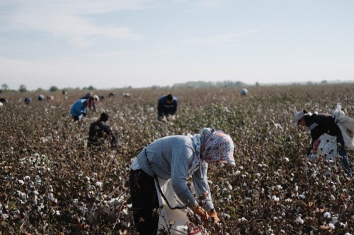 UZBEKISTAN: FAIR RECRUITMENT, EFFECTIVE ACCOUNTABILITY NEEDED TO END FORCED LABOR AS INDEPENDENT LABOR MONITORS HARASSED, ARBITRARILY DETAINED