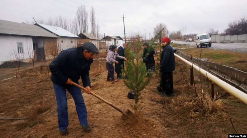 В рамках программы «Эко город» андижанских бюджетников вновь заставляют покупать дорогие саженцы за свой счет