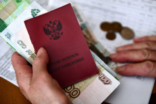 В ЛДПР предложили отменить социальную пенсию для мигрантов