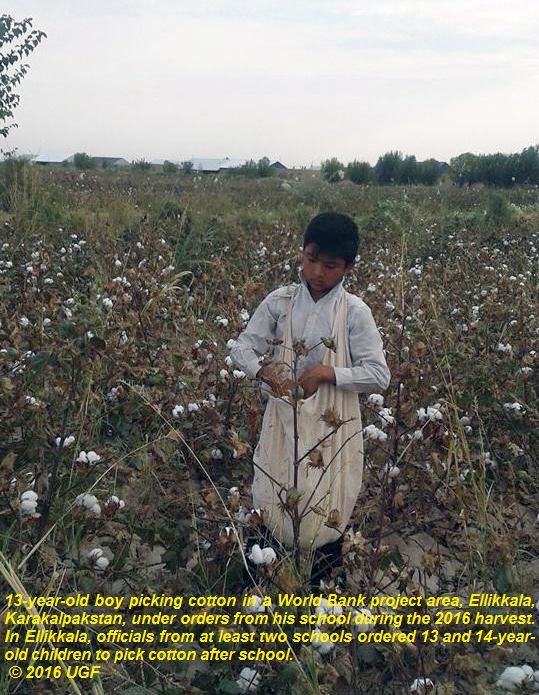 201706business_uzbekistan_photo_cotton_27 2.jpg