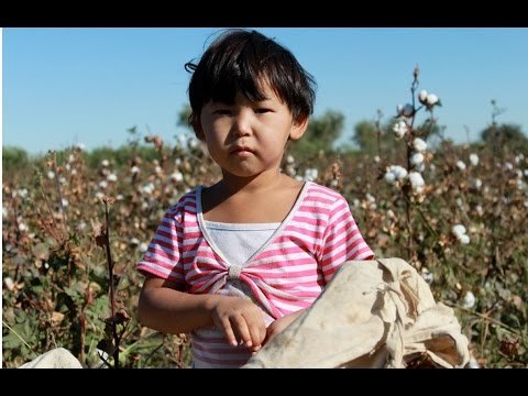 State Sponsored Forced Labor in Uzbekistan