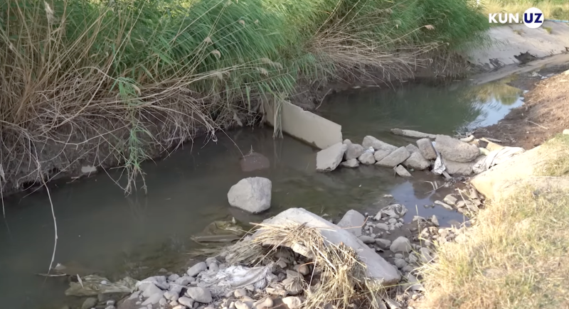 41xjix8o67fyalrsrs7pfa4tdqkp3yp6