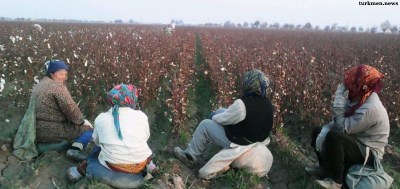 6gckqphft4a8dl234gc76w4g7fxa0wdd