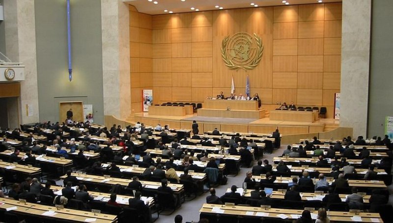 b3fv6hyr2vgz6neat83tgnkkuq1wtgwr