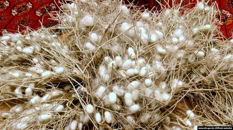 04283bb76e73f464b71fe8ef352df39a