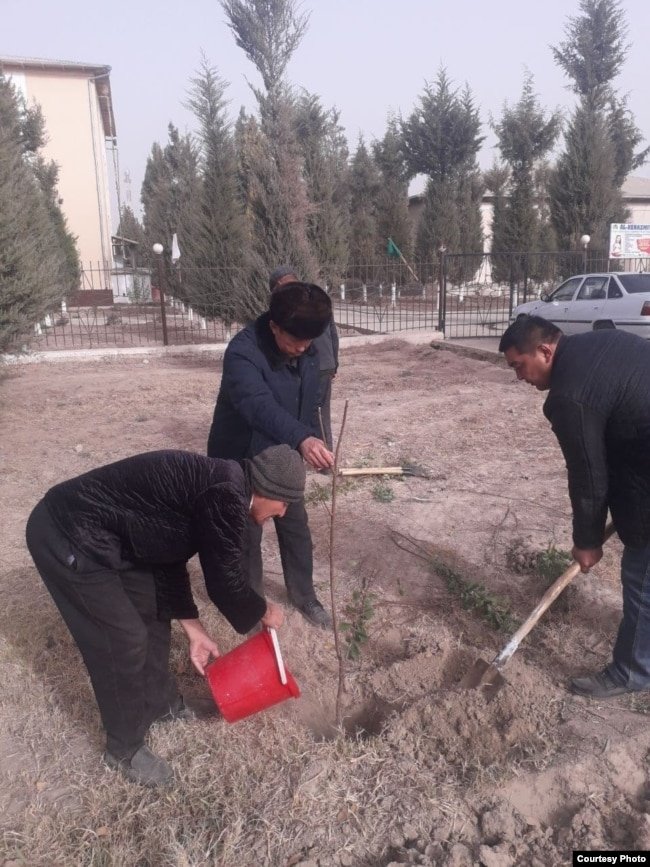 Учителя одной из школ Миришкорского района сажают дерево.
