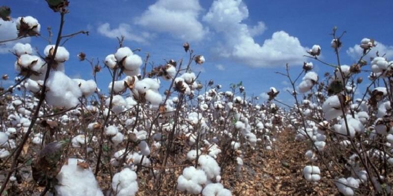 2200ac4a48862d652ac4edced6700eb0