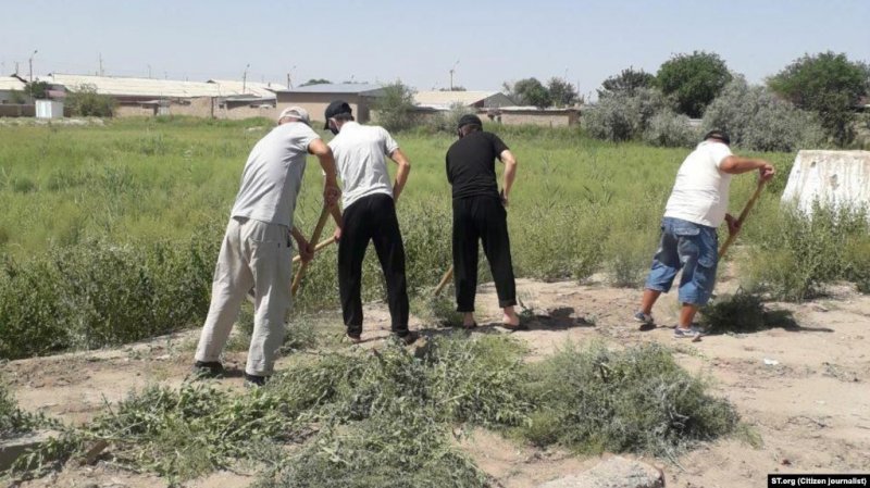 22b504ce69ca80804c98ae8a2736e983