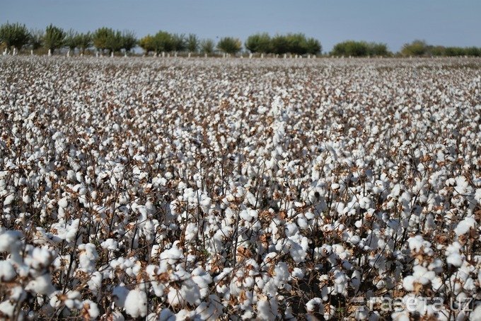 295f572ef2732b06a109a8a4f7ddf076