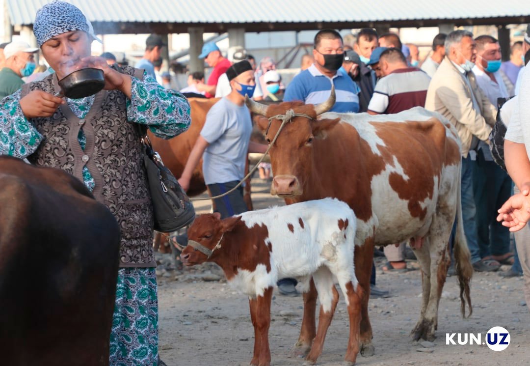 394XvUcyHBOc-Nfpzim4UvSwdlSYE3gD.jpg (1080×745)