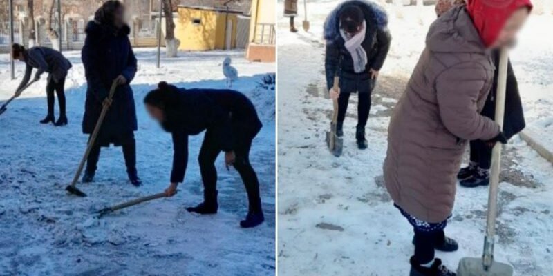 4955b20017d6020c2c5c74faed3fe716