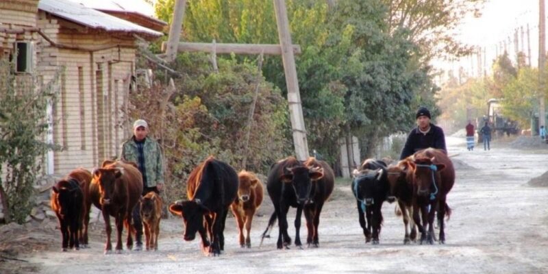 4d13852a97b949036535e3d864b7341a