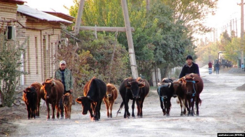 4d13852a97b949036535e3d864b7341a