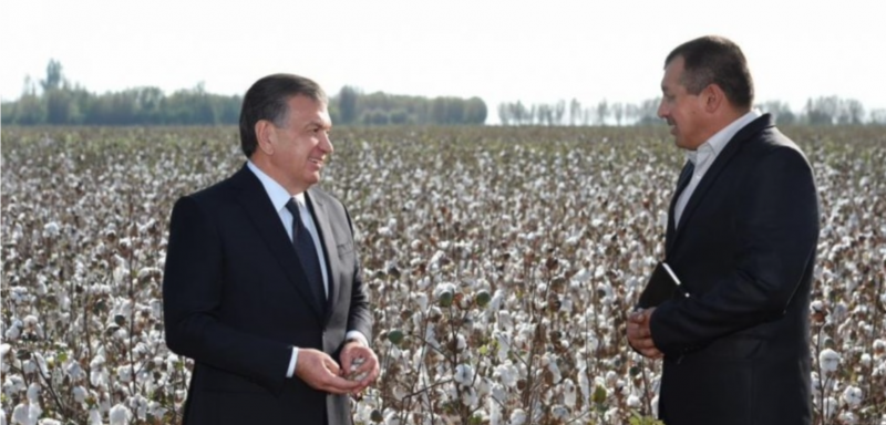 4e7a5825de034f820a6d5702720fa5be