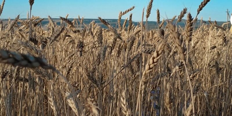 63d20c46959a4a82a531874e16fe65c1