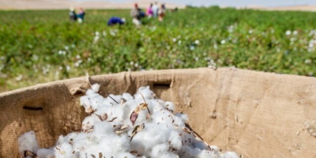 64799b92d8ad4d2e6724ade388c66e4a