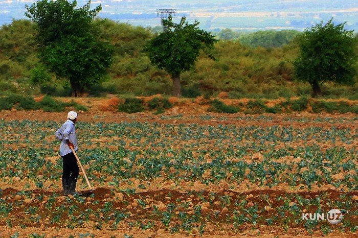 7647b78384c6ebdafc2fdad2daa0dcd4