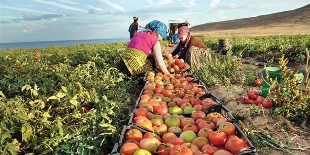 766944aa0333826cc78b6e1db68d0d15