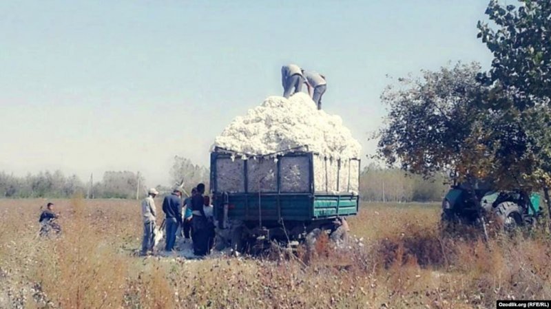 83abc228324f00b63f6f6674d66cb437