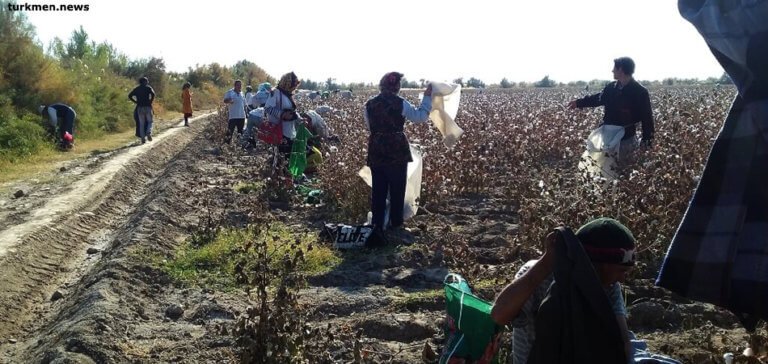 8a675f4c337f90931a0ea0f347da5ecf