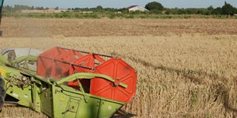 8dd1a7e08b3dca0f452c6adfd33f5562