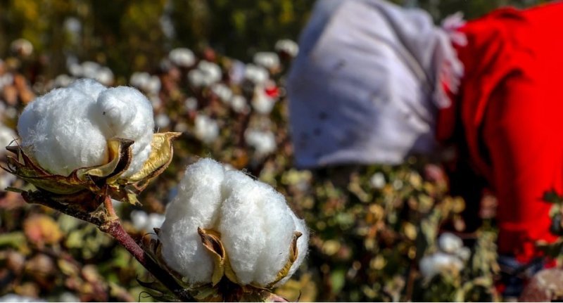 a2f3126907859f0ba681553bb4a6e2cf